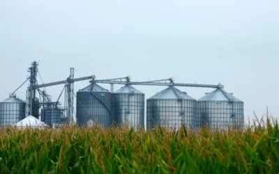 Le bioéthanol E85 est-il vraiment écologique ?